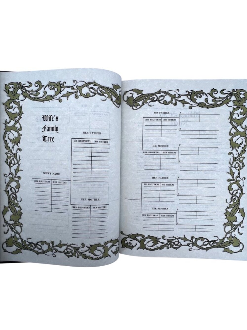 Holy Bible Guiding Light Edition 1965 King James Version Family Record Illustrat - Picture 8 of 16
